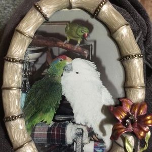 Meet your Posher, Eva